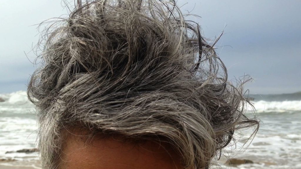 Arxipelag_RaquelMarques